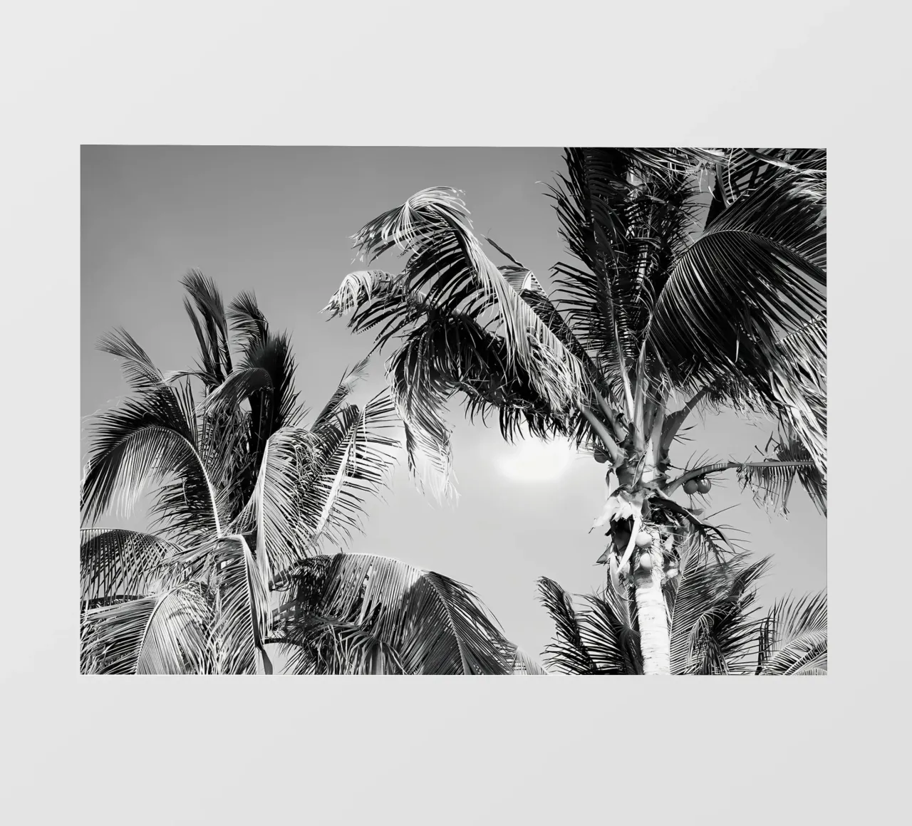 Caribbean Palms 4 pvc cover by Matthew Katz