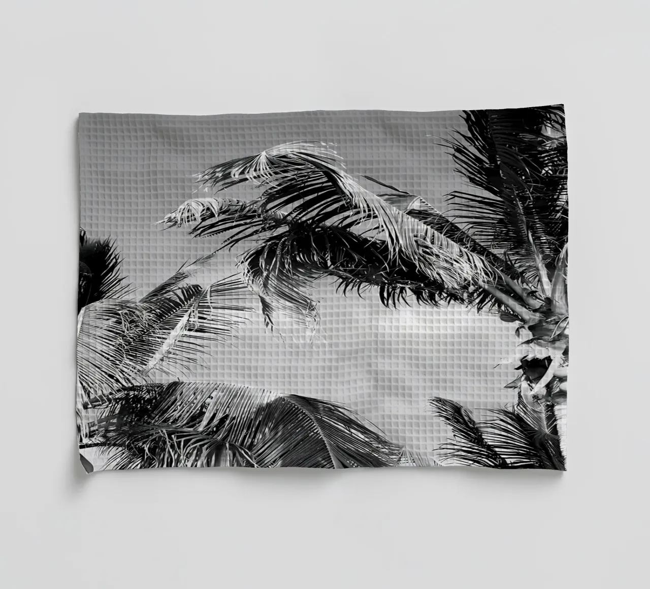 Palmes des Caraïbes 4 torchon de Matthew Katz
