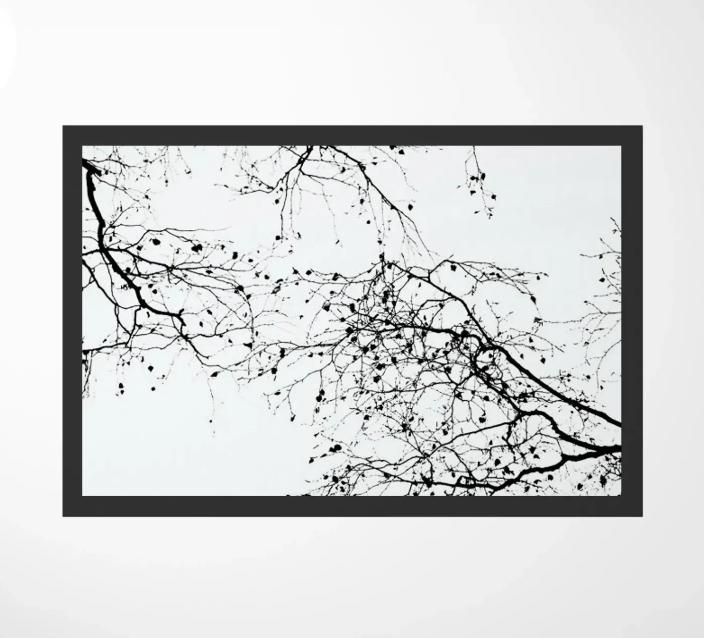 Black Branches 2 zerbino da Monika Strigel