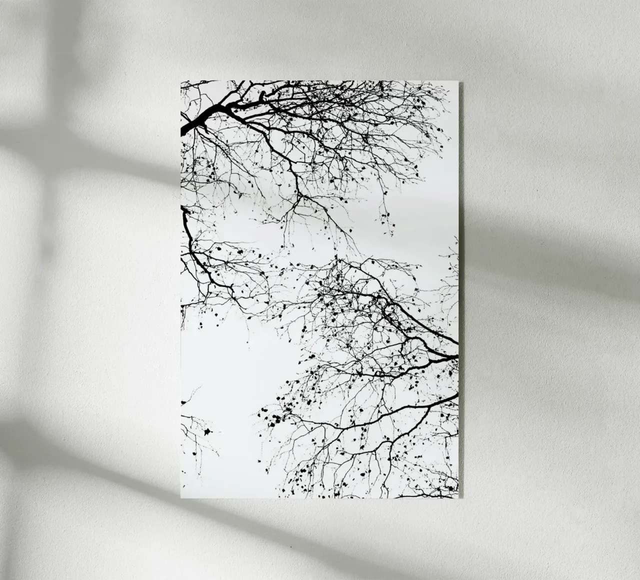 Rami neri 2 plexiglass da Monika Strigel