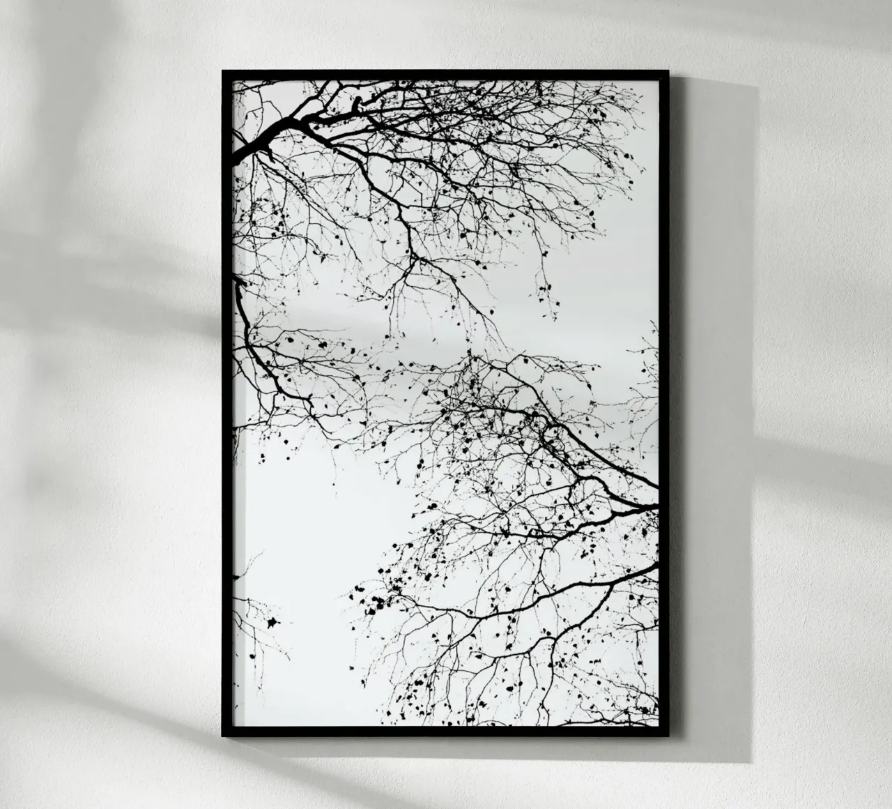 Rami neri 2 poster con telaio in legno da Monika Strigel