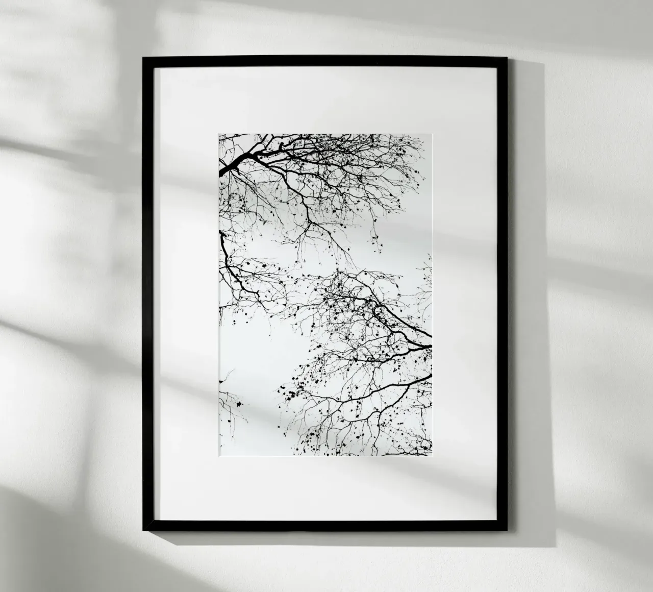 Rami neri 2 poster con telaio in legno da Monika Strigel
