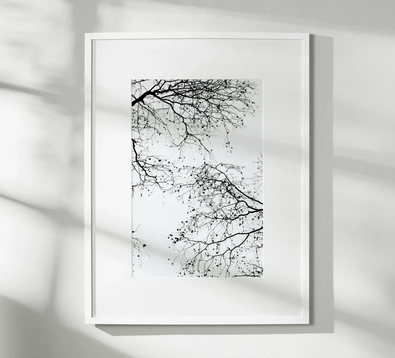 Rami neri 2 poster con telaio in legno da Monika Strigel