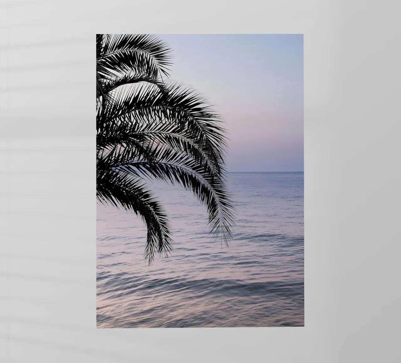 Sogno dell'oceano Palm 3 pellicola backlit da Matthew Katz