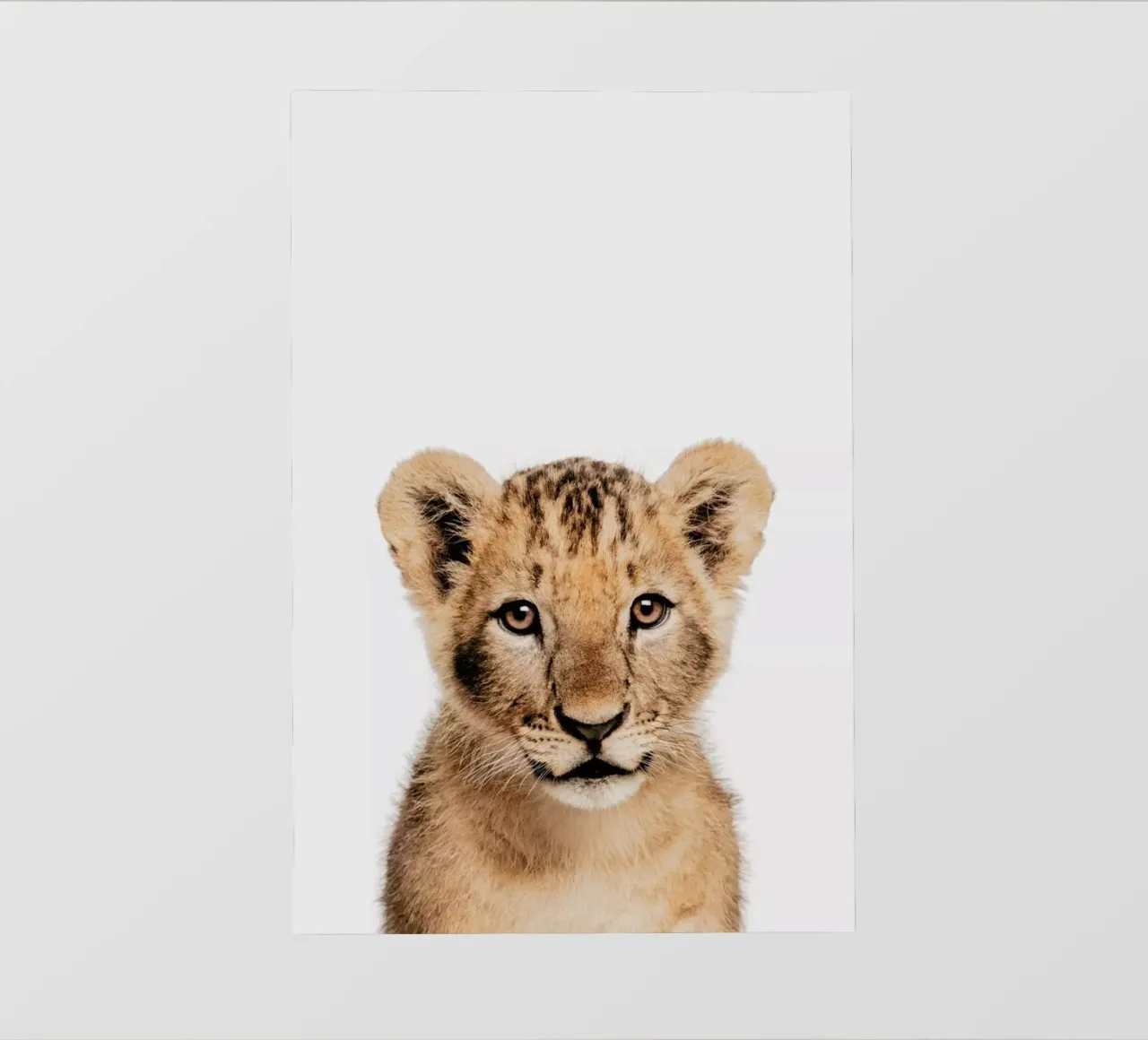 Lion Cub II pellicola backlit da Paws & Claws