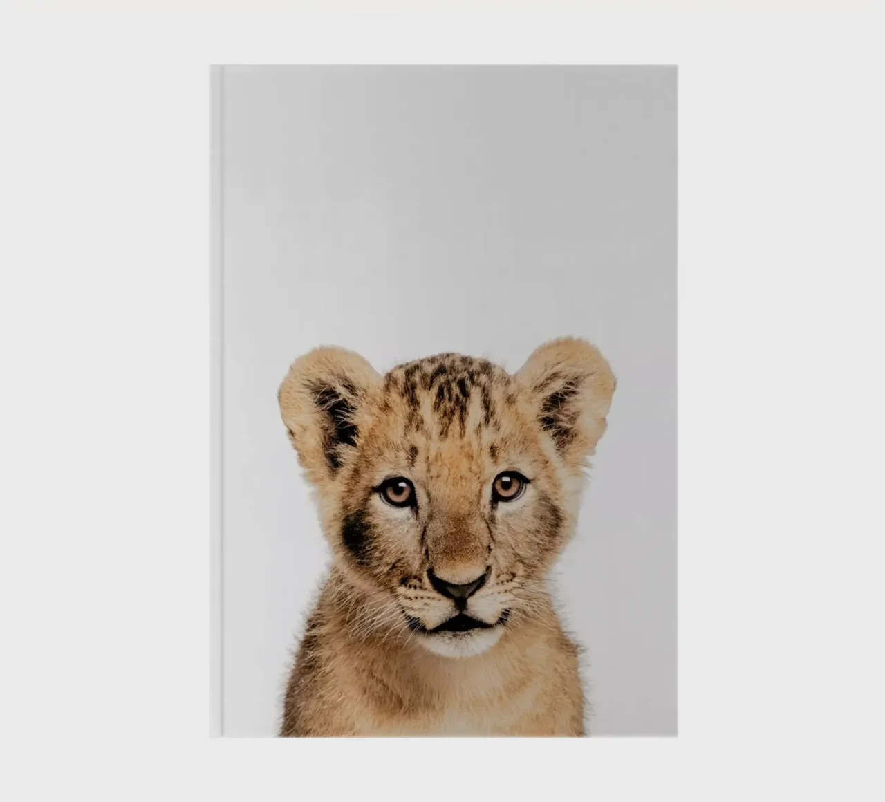 Lion Cub II Notizbuch von Paws & Claws