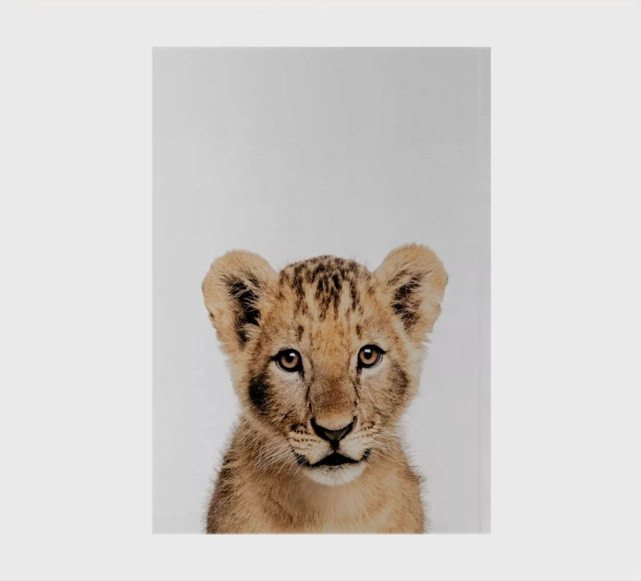 Lion Cub II notebook by Paws & Claws