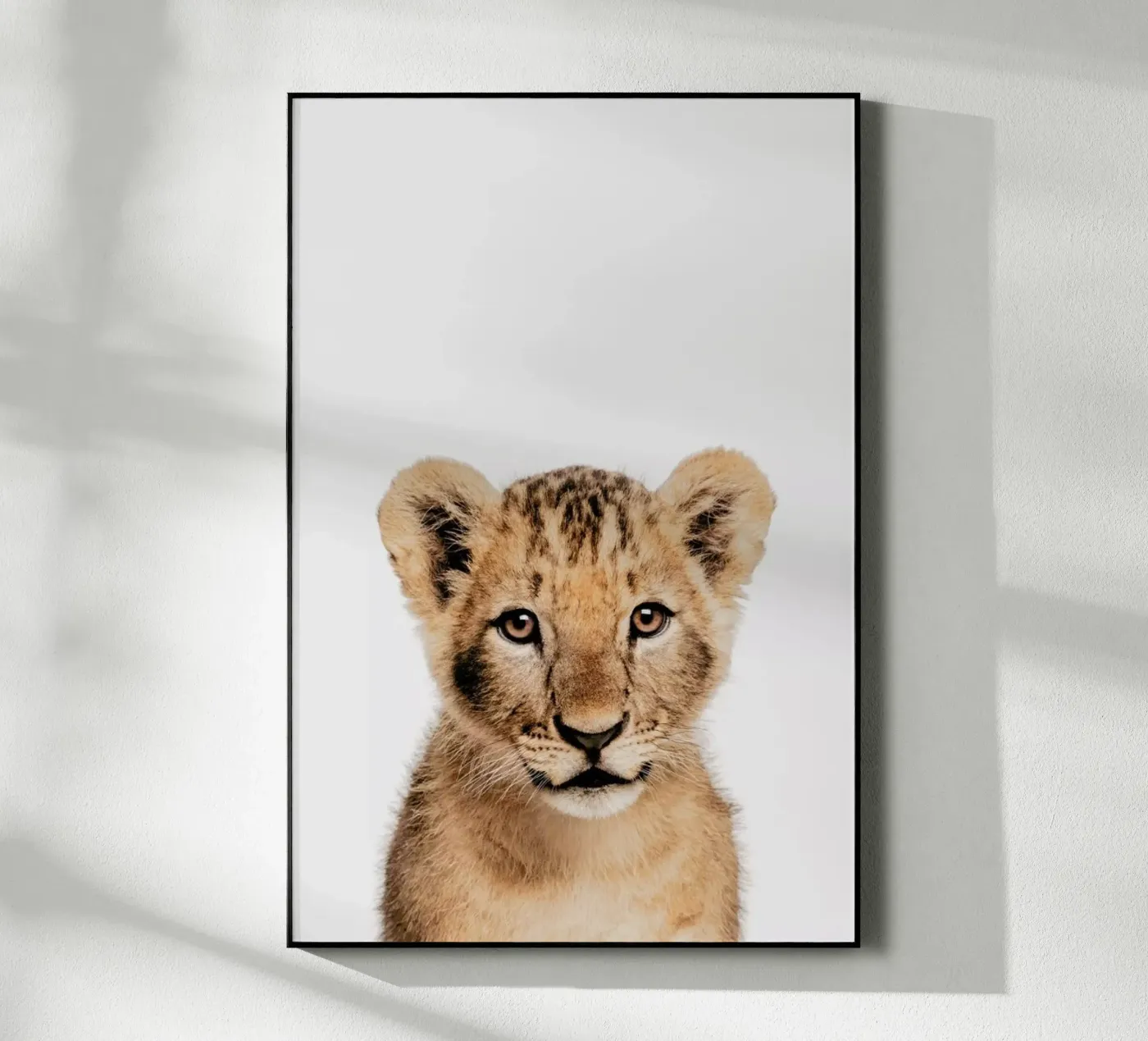 Lion Cub II plexiglass da Paws & Claws