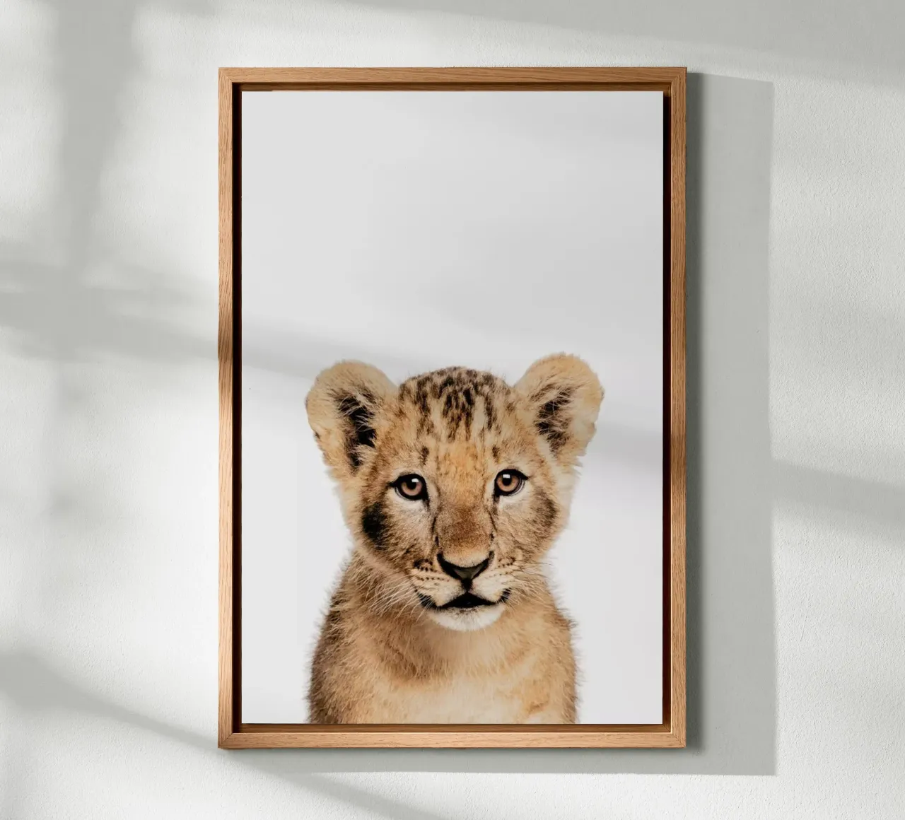 Lion Cub II tela con Cornice a cassetta da Paws & Claws