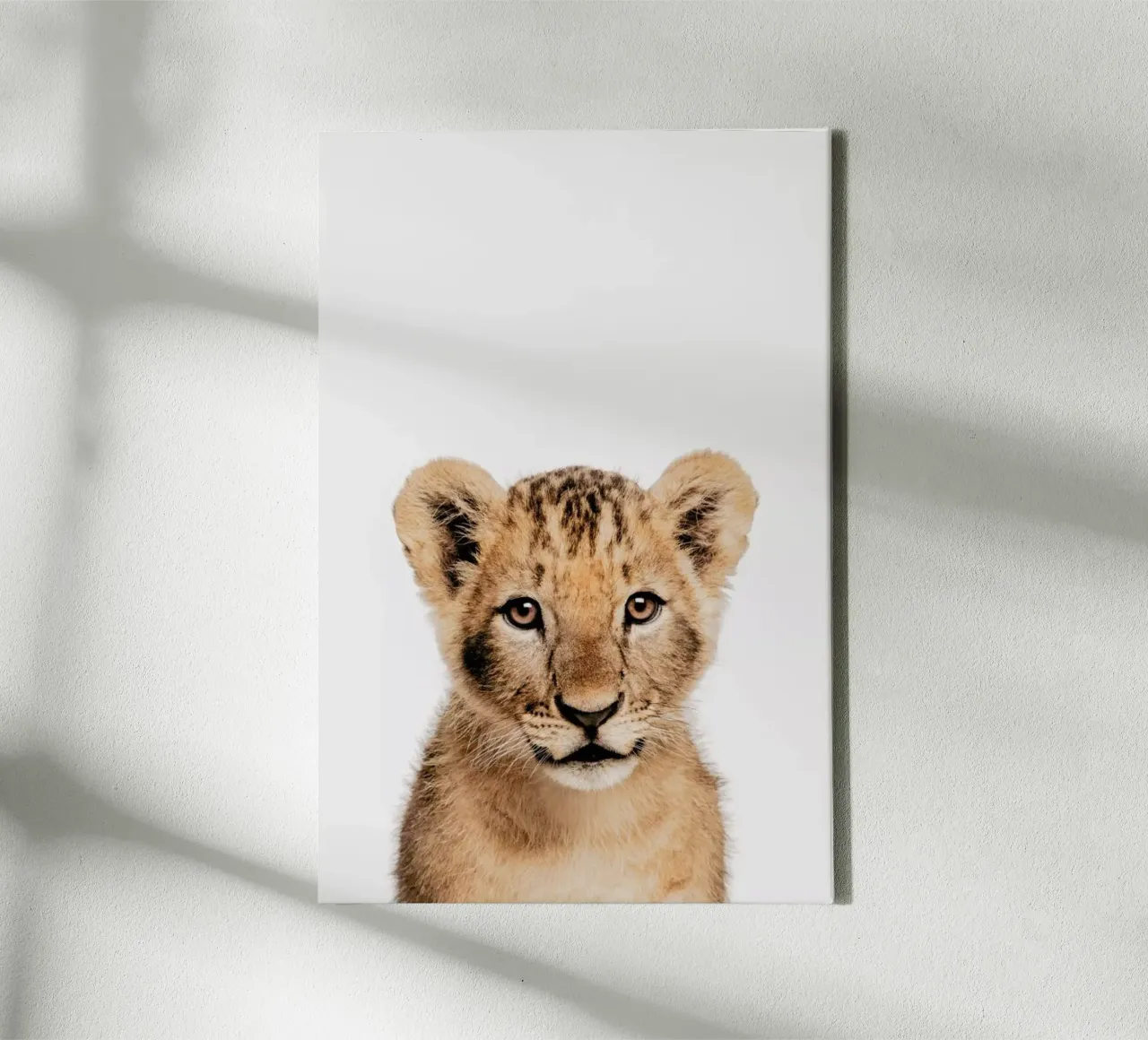 Lion Cub II tela con Cornice a cassetta da Paws & Claws