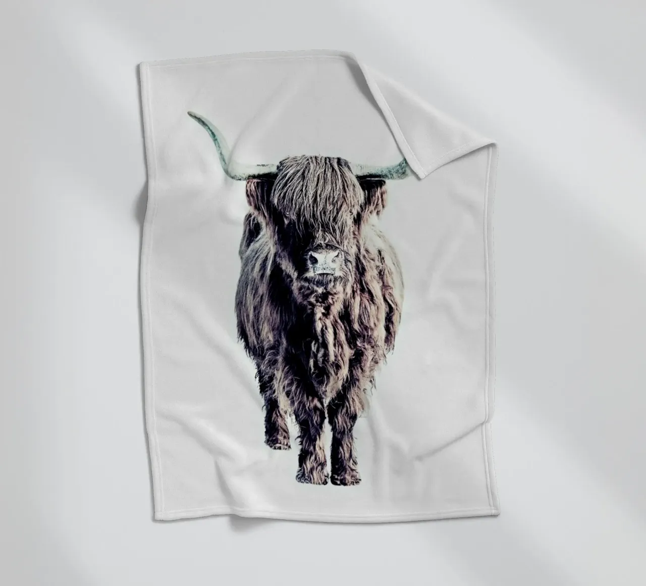 Highland Cattle Colin White coperta in pile da Monika Strigel