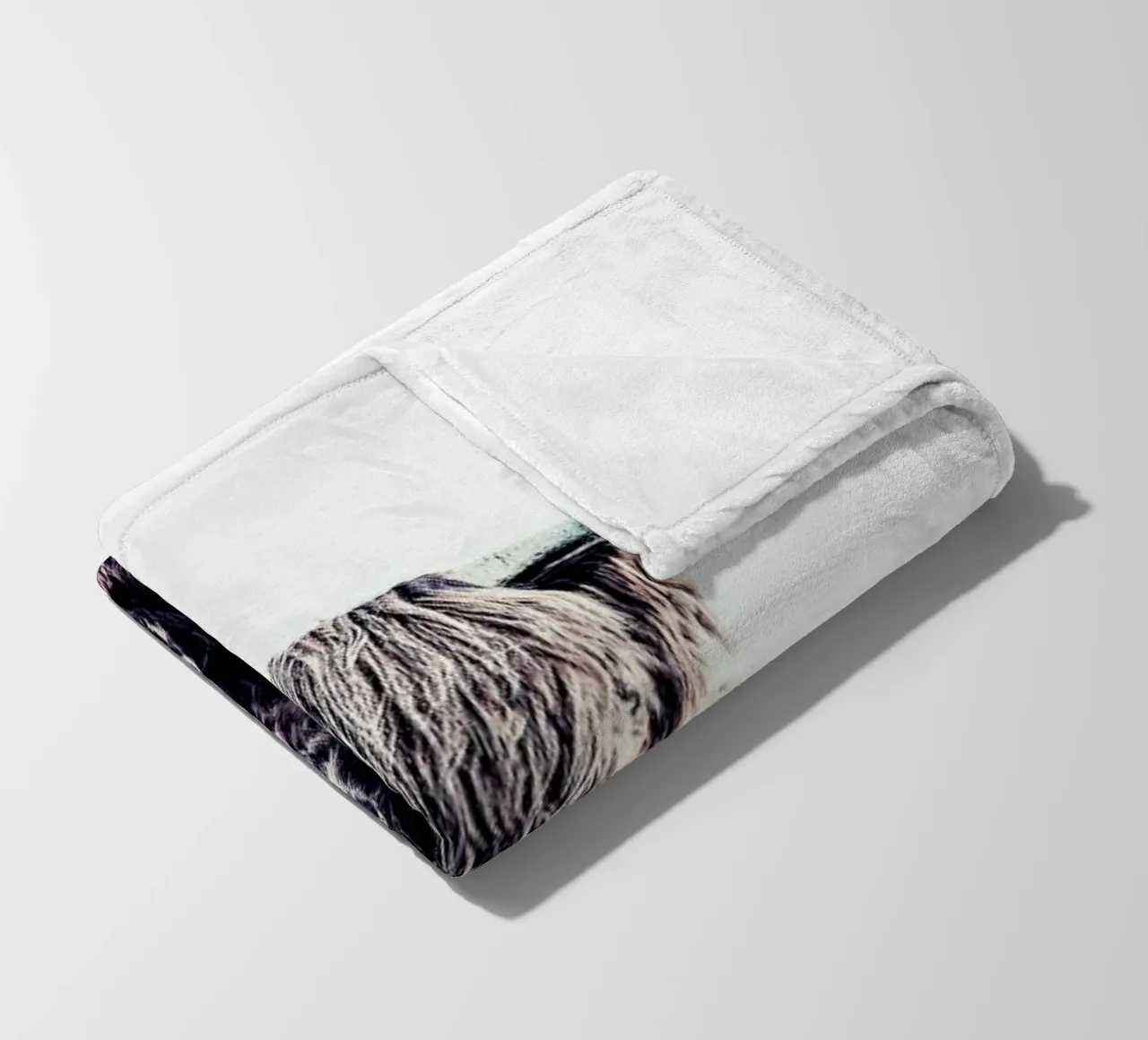 Highland Cattle Colin White coperta in pile da Monika Strigel