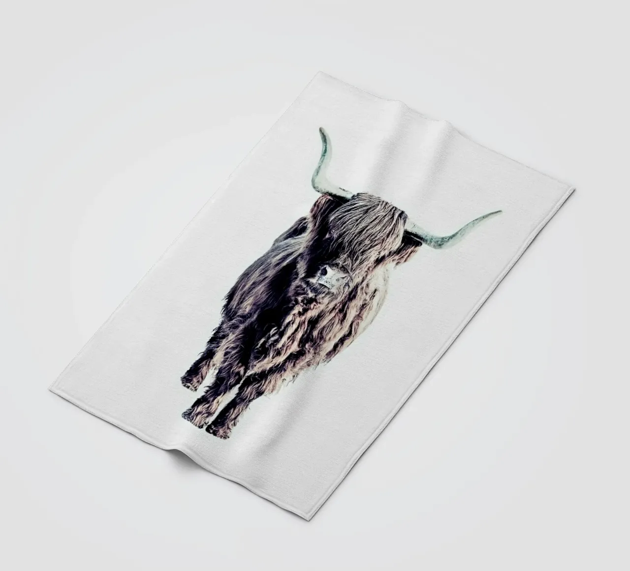 Highland Cattle Colin White coperta in pile da Monika Strigel