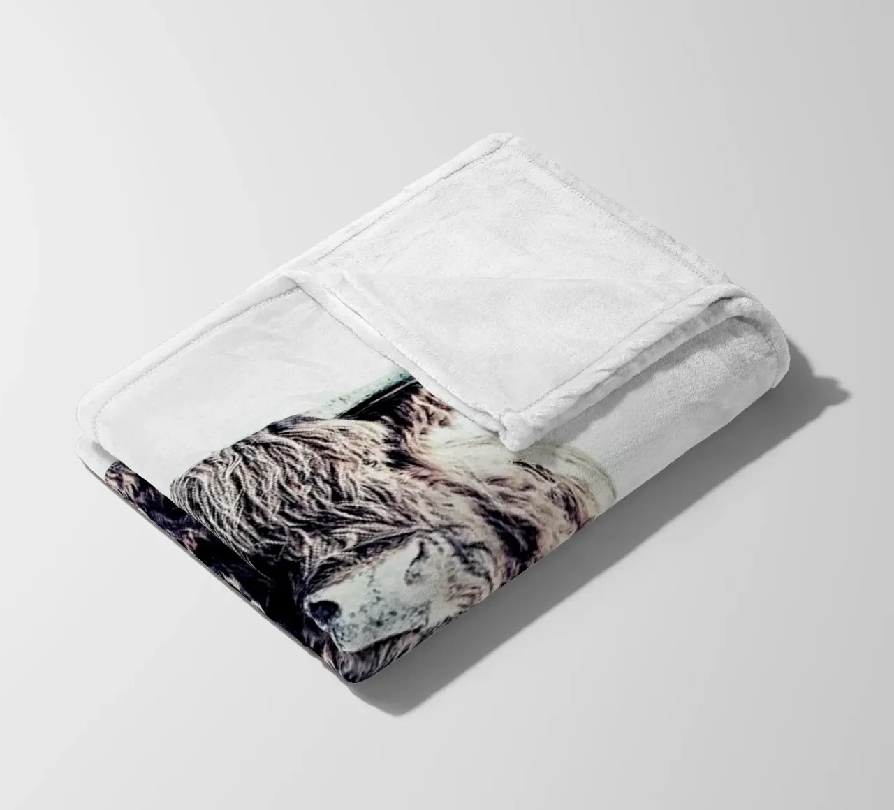 Highland Cattle Colin White coperta in pile da Monika Strigel