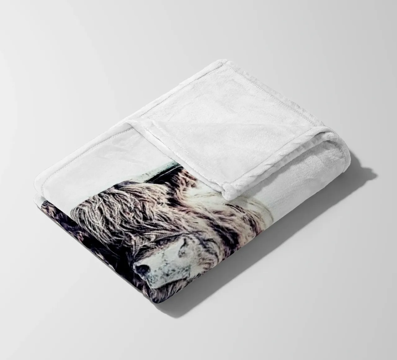 Highland Cattle Colin White coperta in pile da Monika Strigel