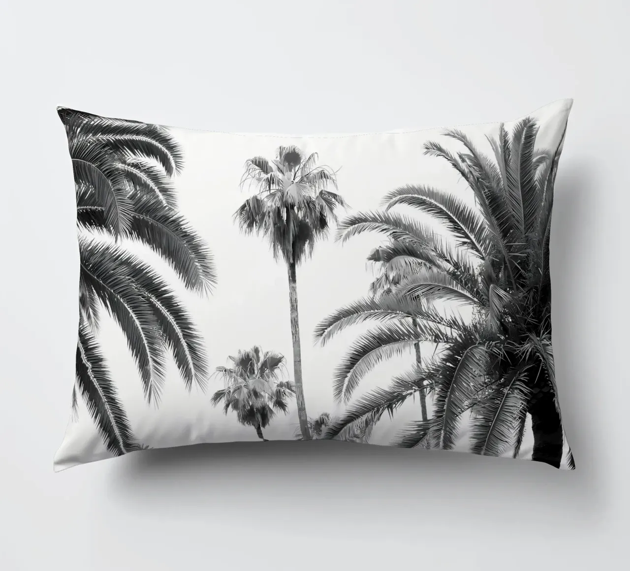 Palmiers Beauty 3 coussin de Matthew Katz