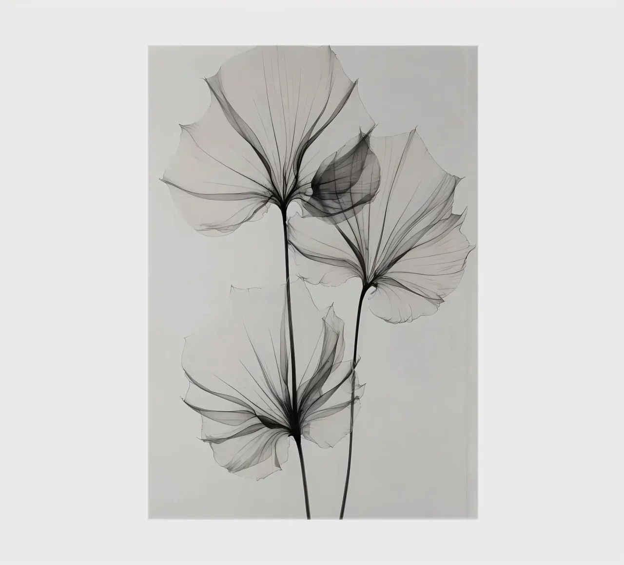 Botanico trasparente n. 3 diario da Nicholas Campbell