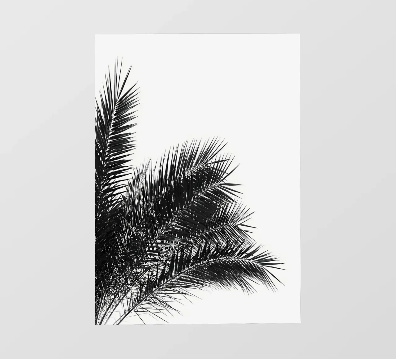 Foglie di palma BW 3 telo in pvc da Matthew Katz