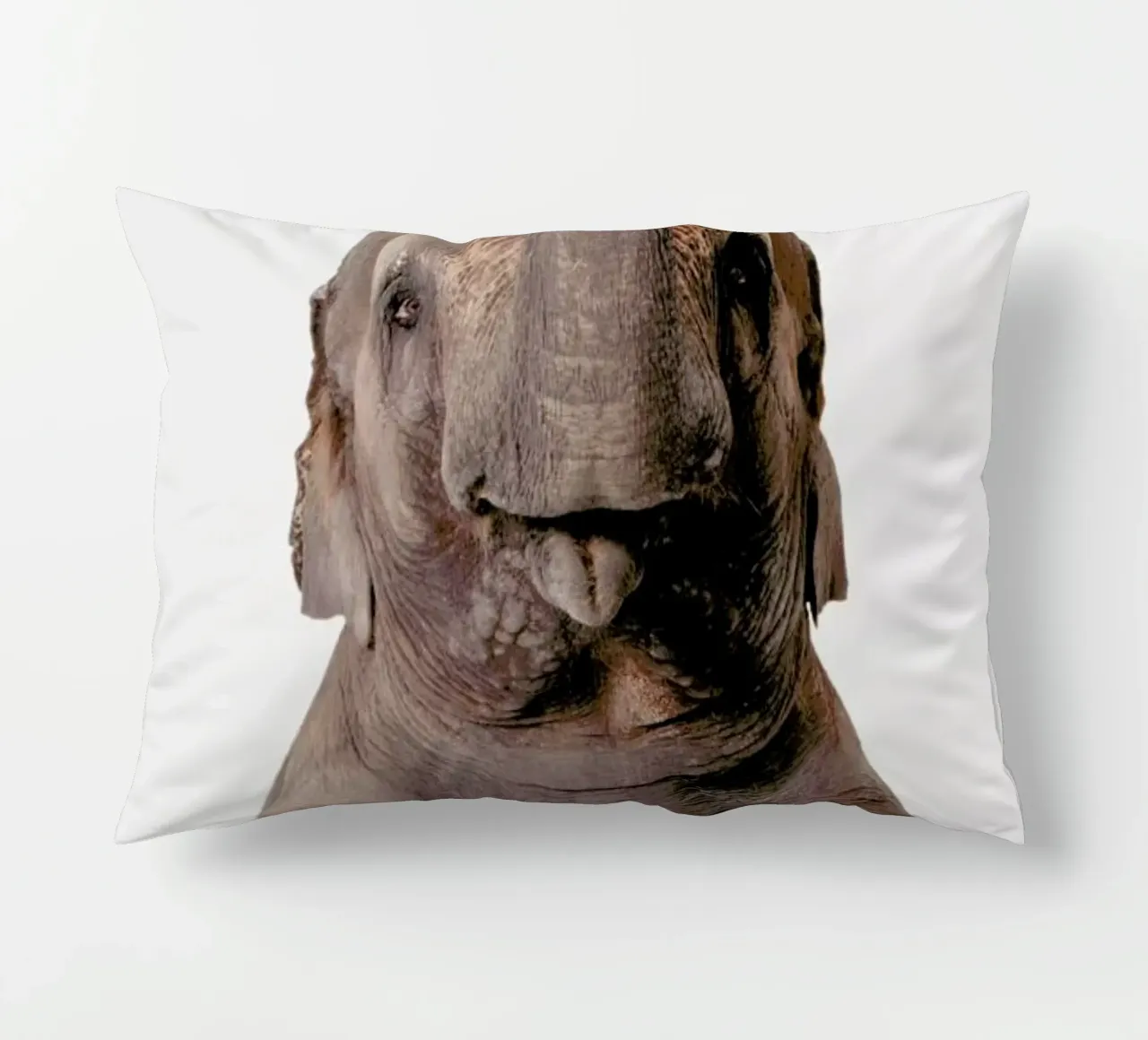 Elephant cuscino da Paws & Claws