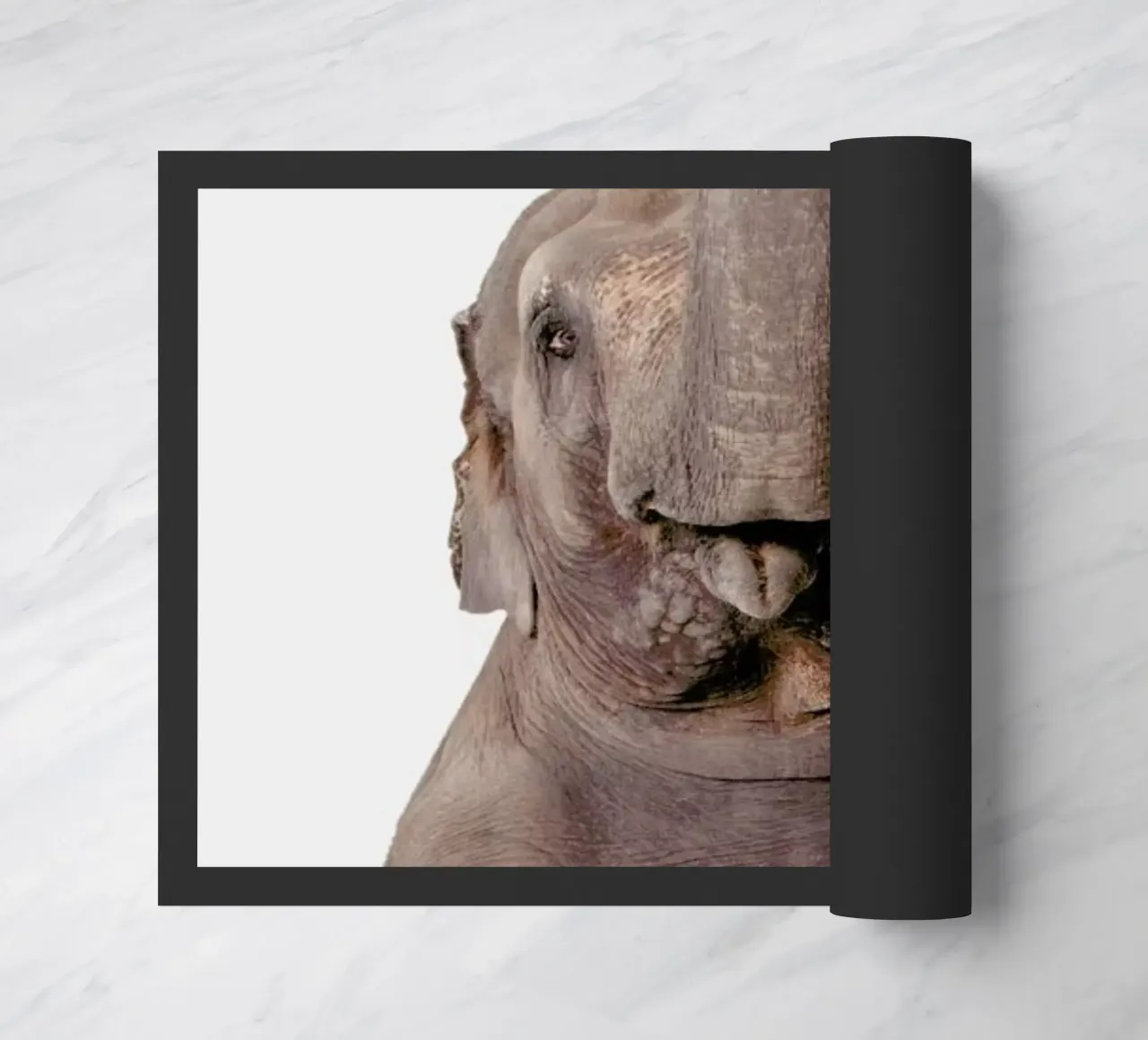 Elephant zerbino da Paws & Claws