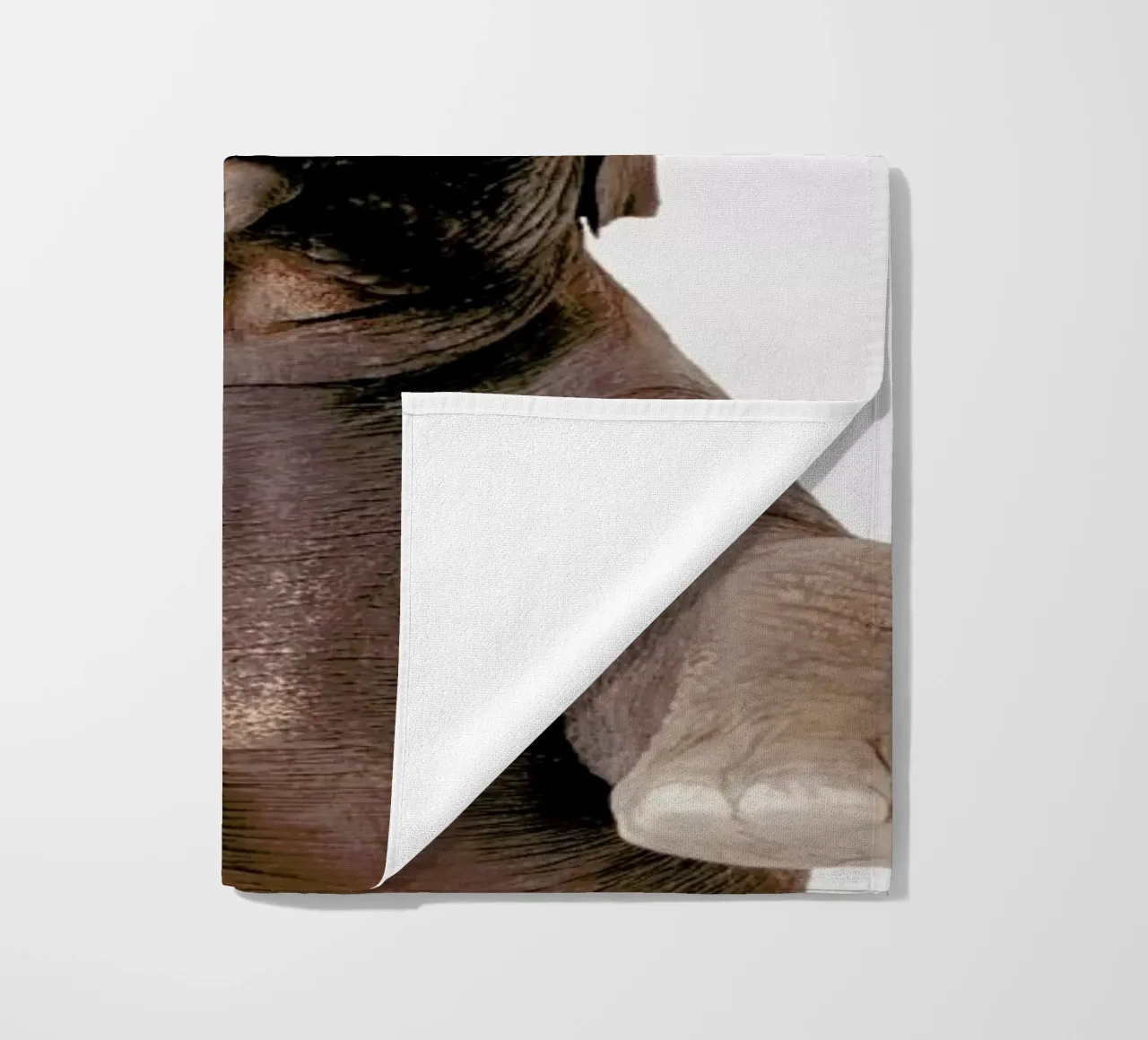 Elephant telo mare da Paws & Claws