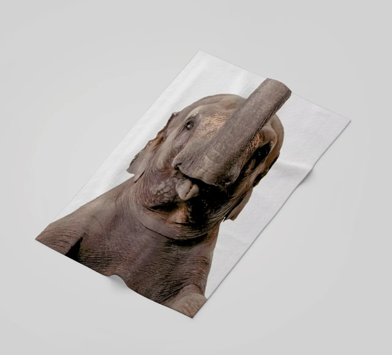 Elephant telo mare da Paws & Claws