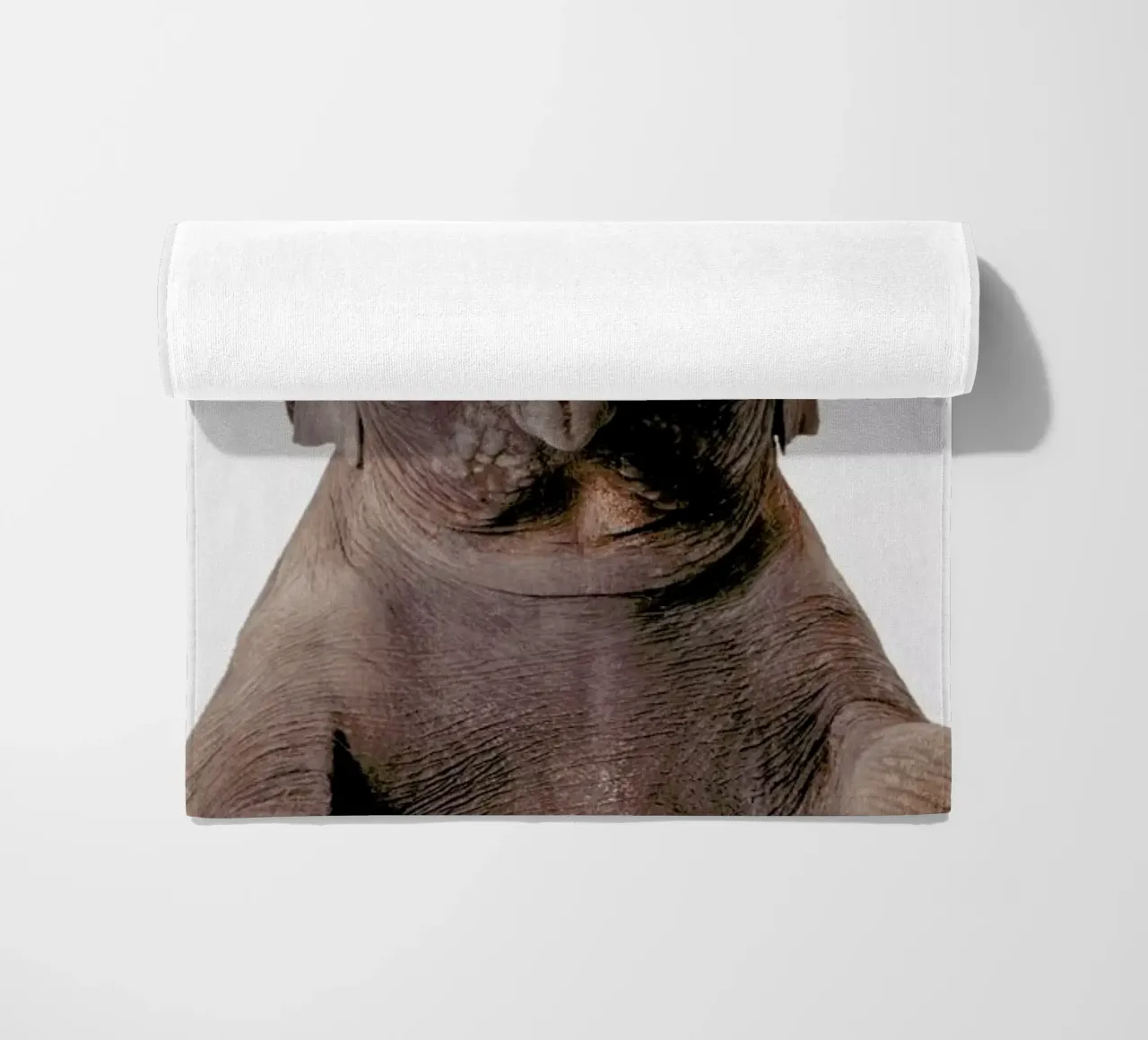 Elephant telo mare da Paws & Claws