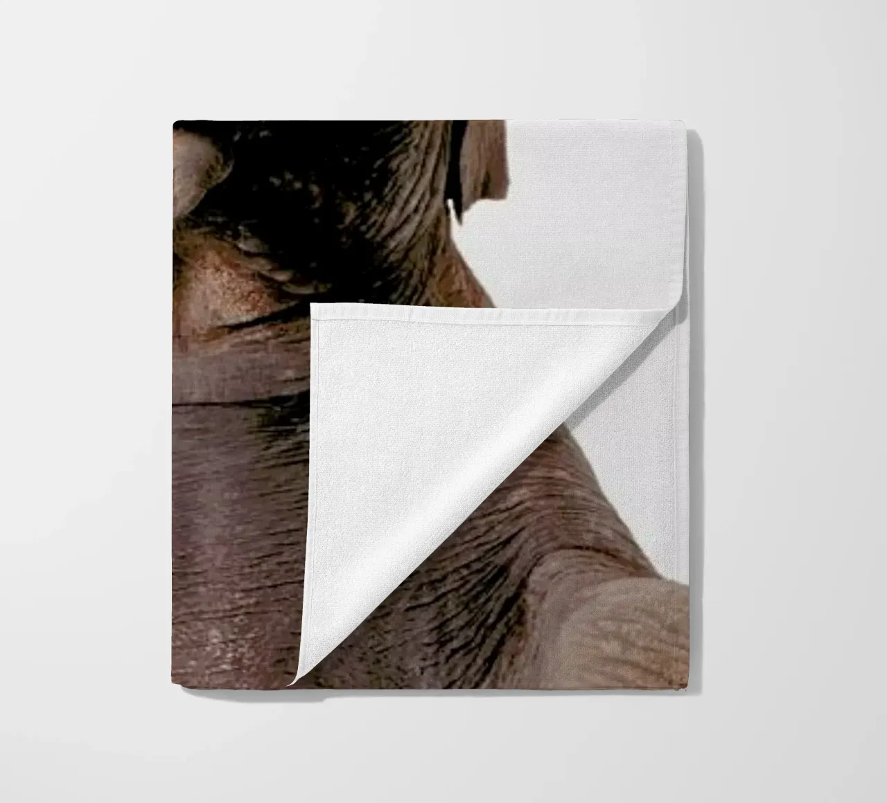 Elephant telo mare da Paws & Claws