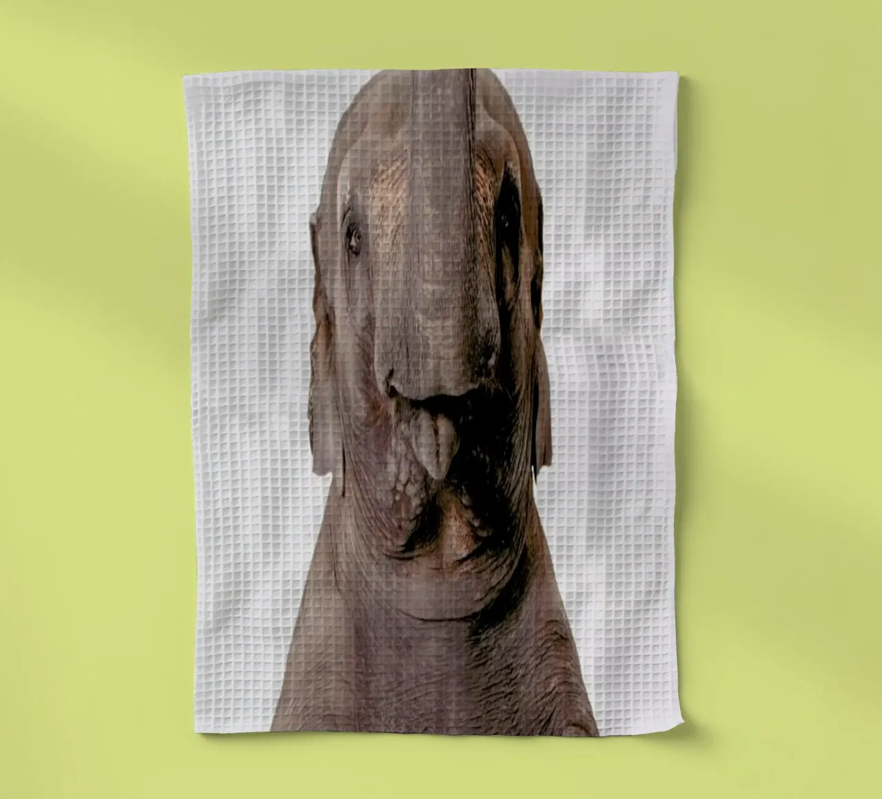 Elephant canovaccio da cucina da Paws & Claws