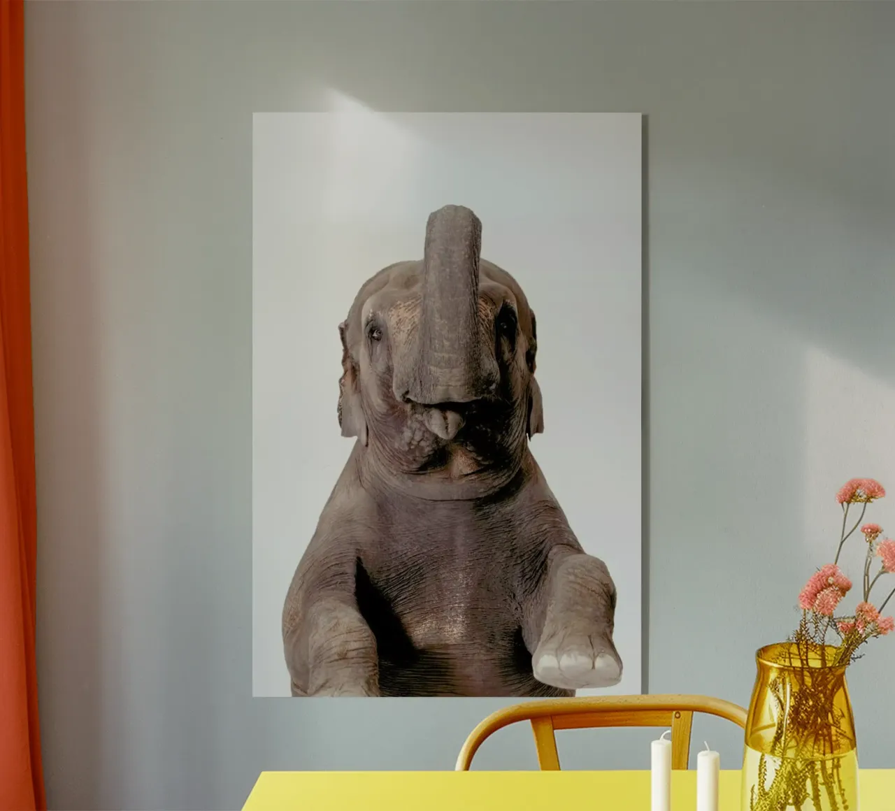 Elephant plexiglass da Paws & Claws