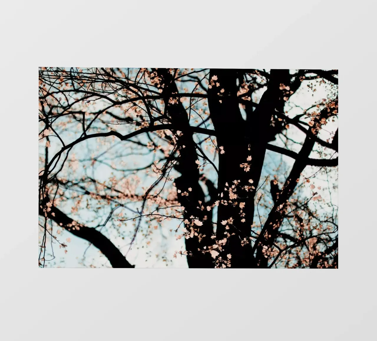 Autumn telo in pvc da Ingrid Beddoes