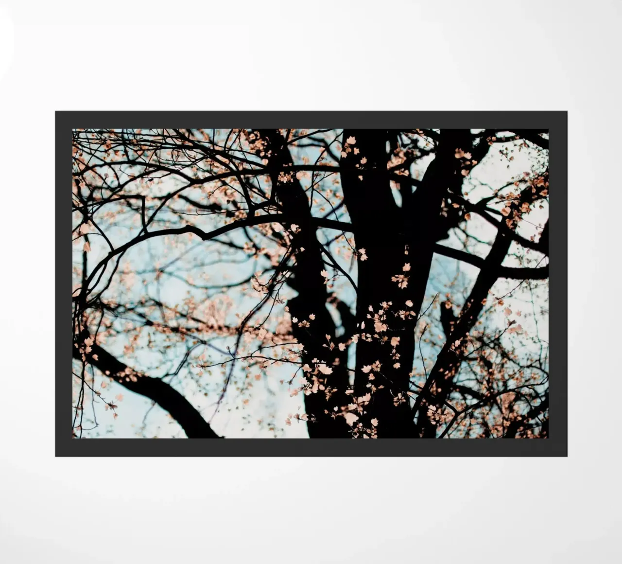 Autumn zerbino da Ingrid Beddoes