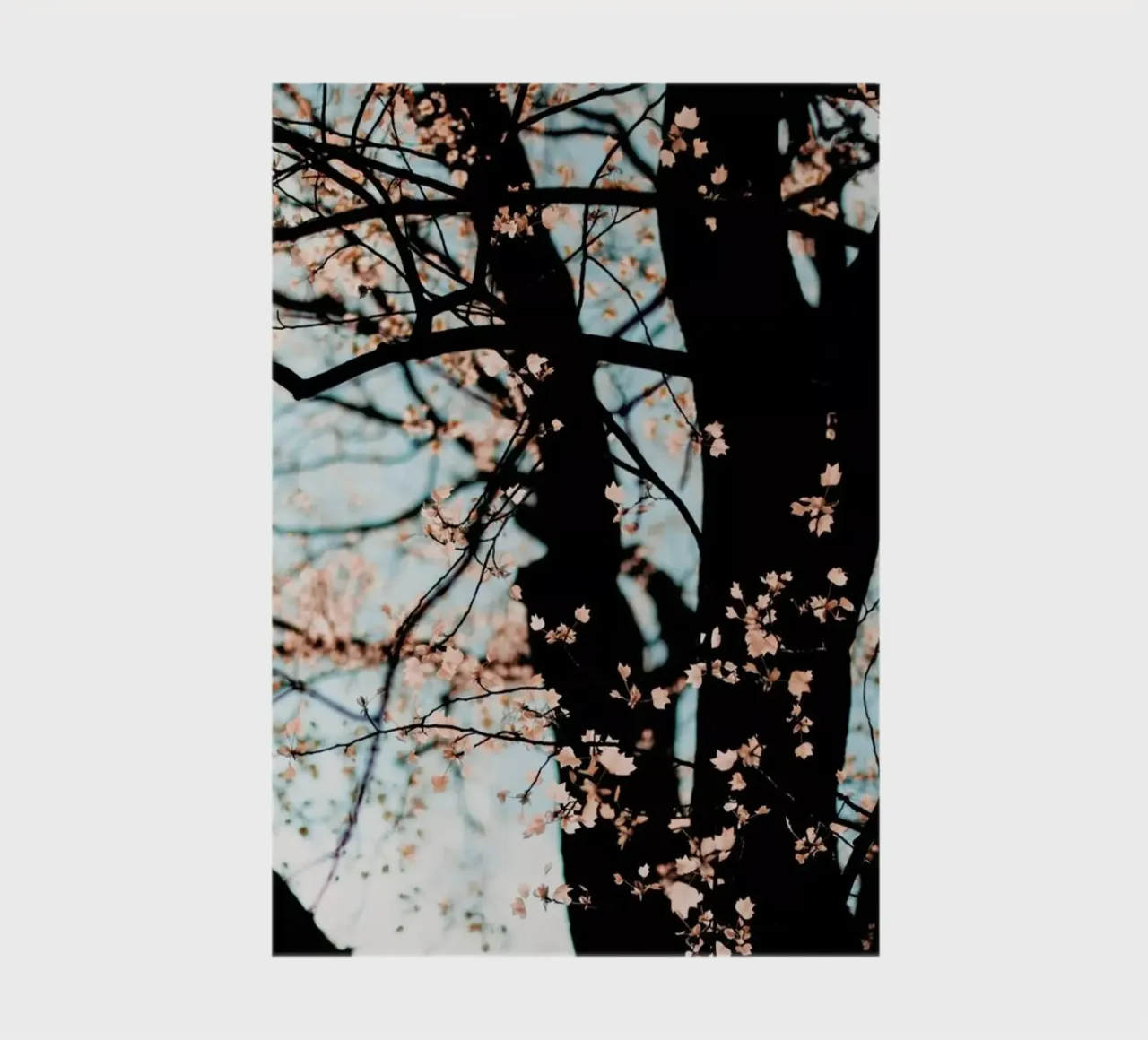 Autumn notebook by Ingrid Beddoes