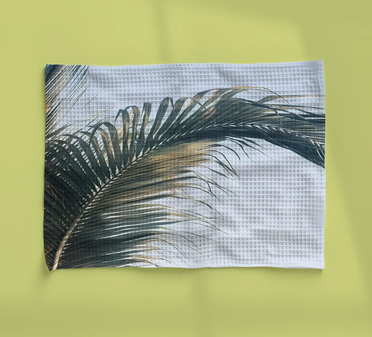 Feuilles de palmier des Caraïbes 1 torchon de Matthew Katz