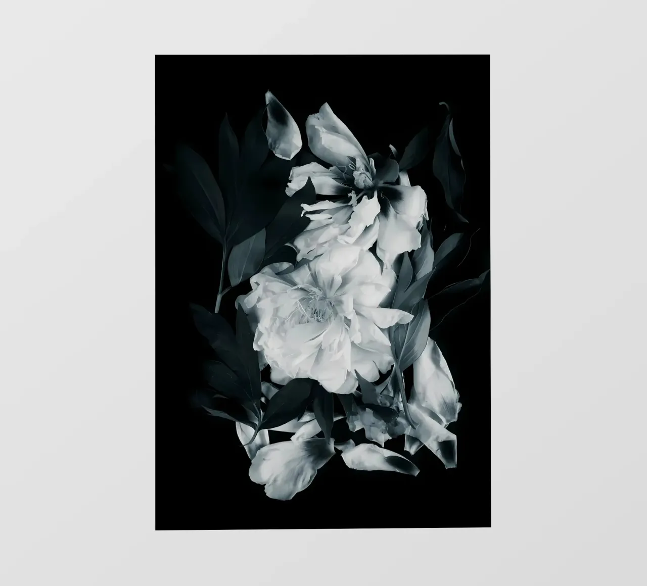 Fiori di peonie telo in pvc da Nicholas Campbell