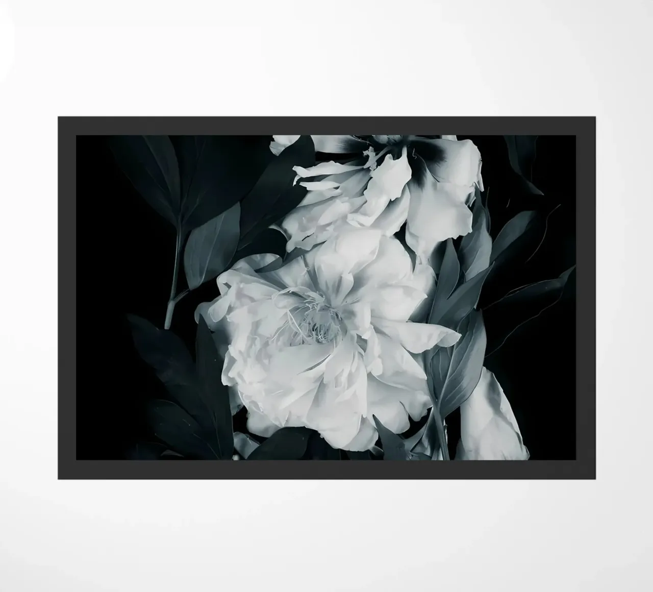 Fiori di peonie zerbino da Nicholas Campbell