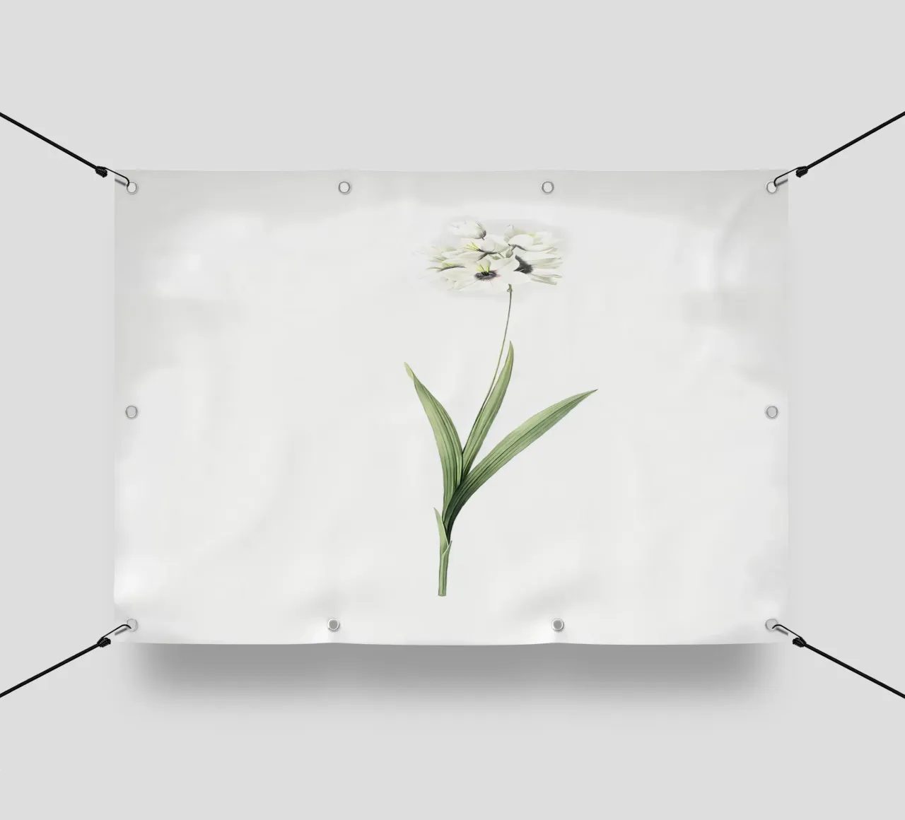 Ixia Maculata telo in pvc da Nicholas Campbell
