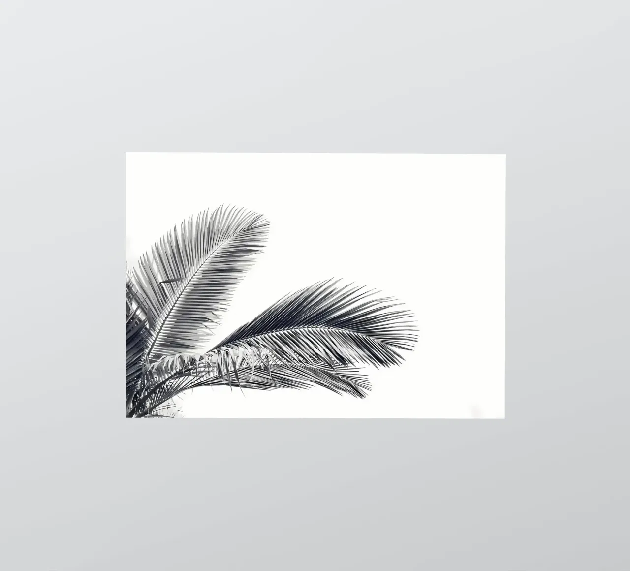 Palm Leaves sticker by Matthew Katz