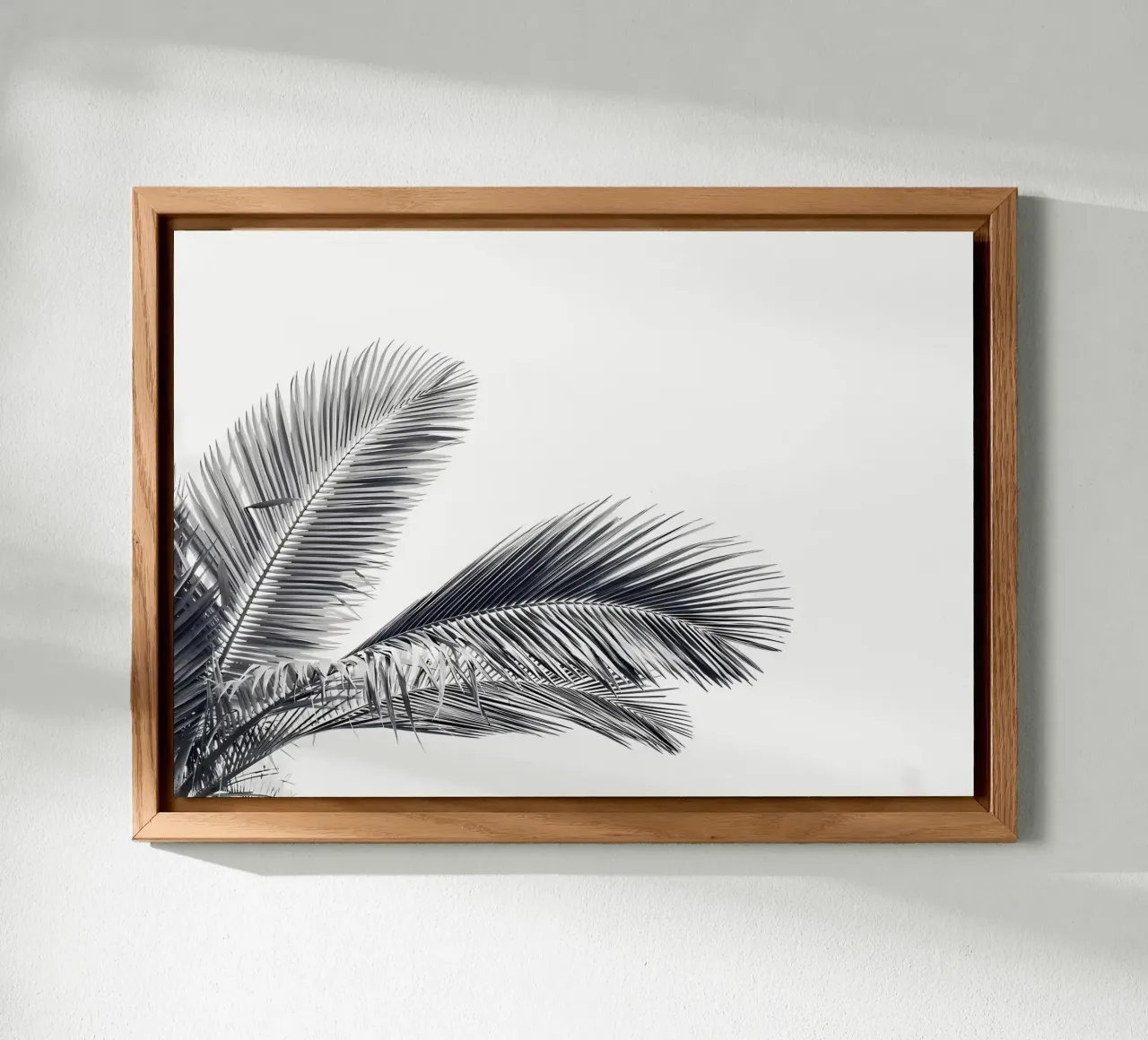 Palm Leaves alu-dibond by Matthew Katz