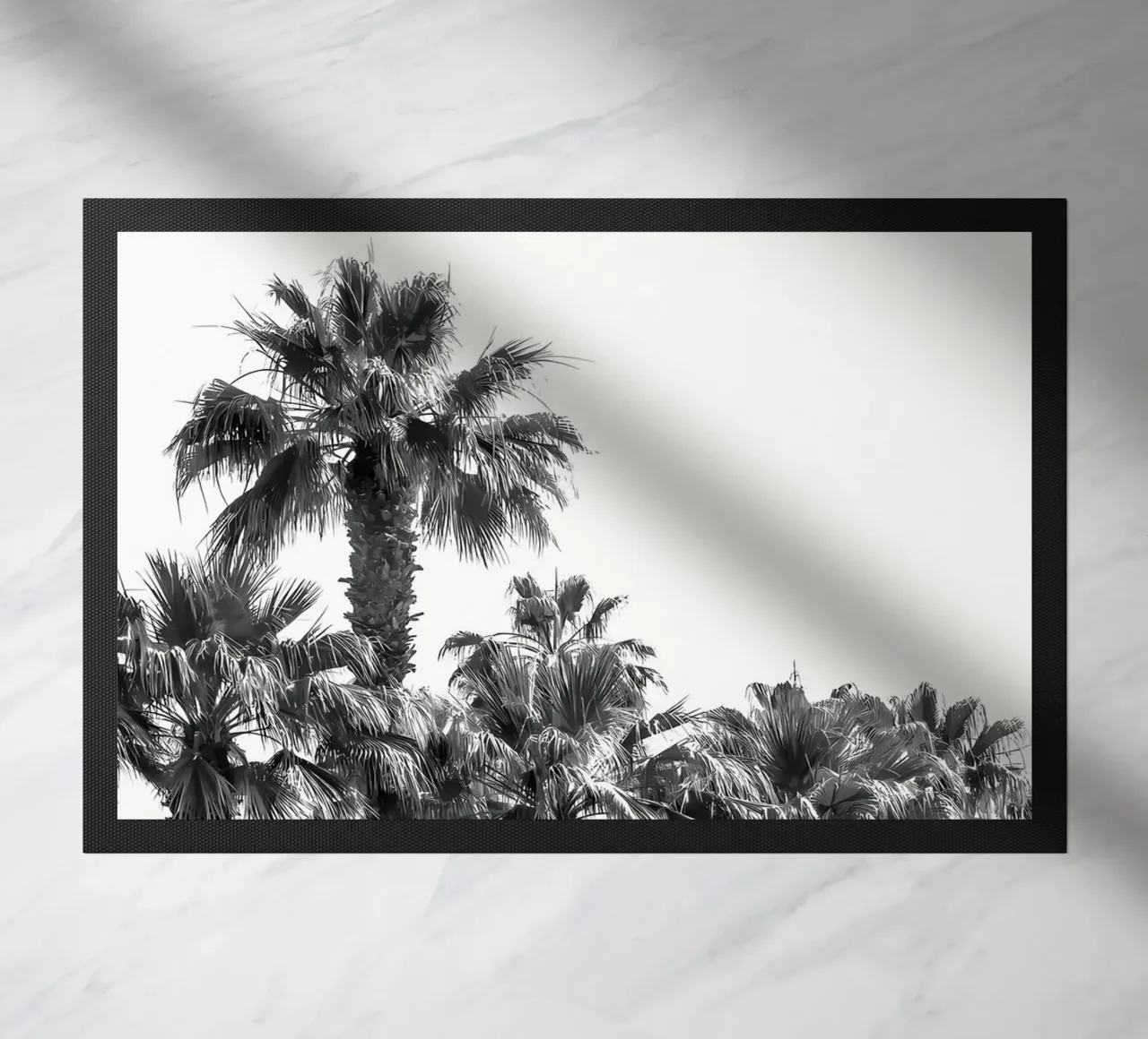 Palme monocromatiche zerbino da Matthew Katz