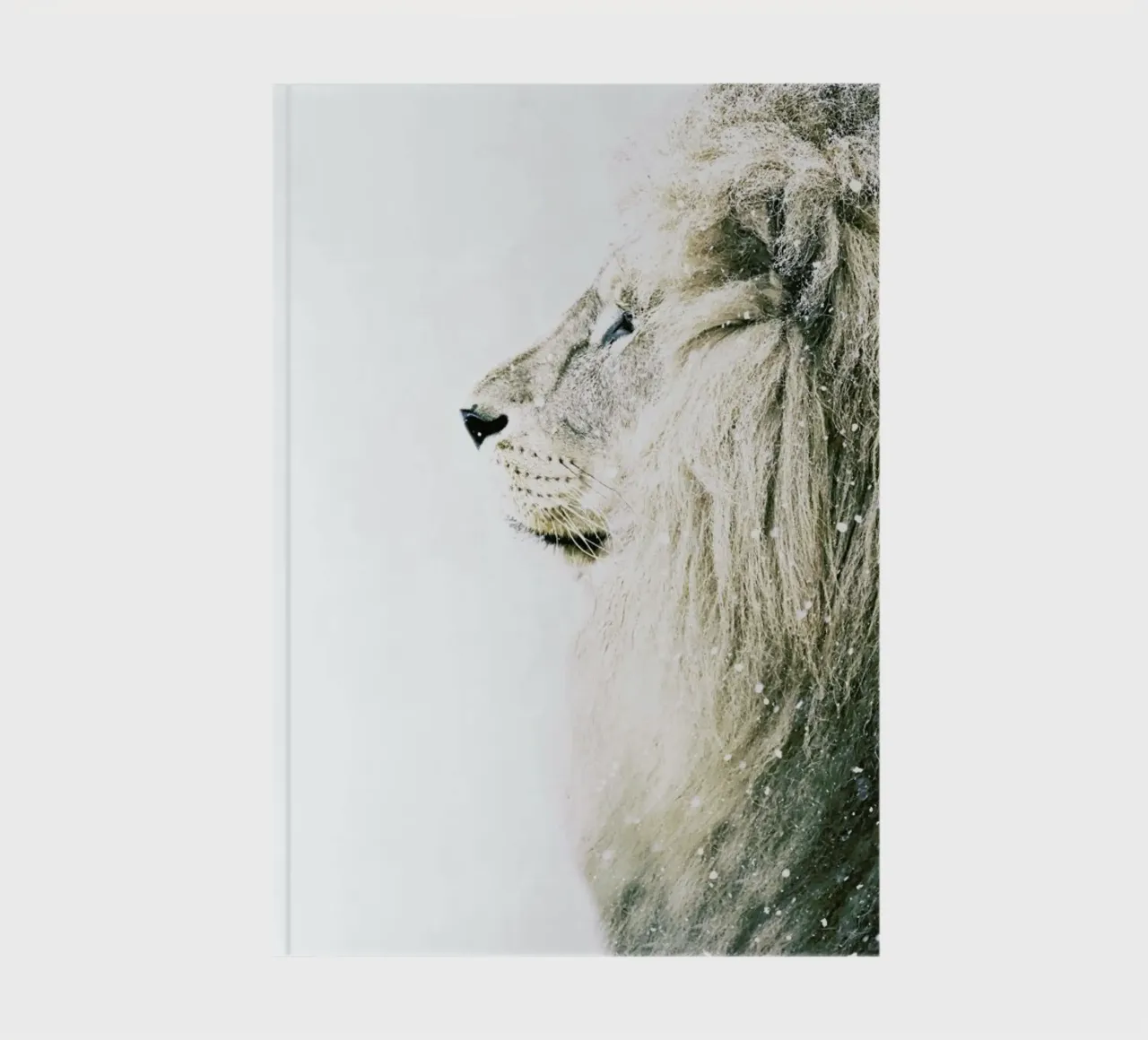 Lion in Snow notebook by Monika Strigel