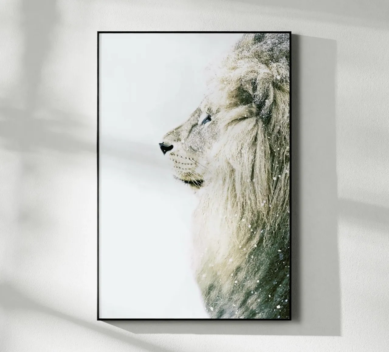 Leone nella neve plexiglass da Monika Strigel