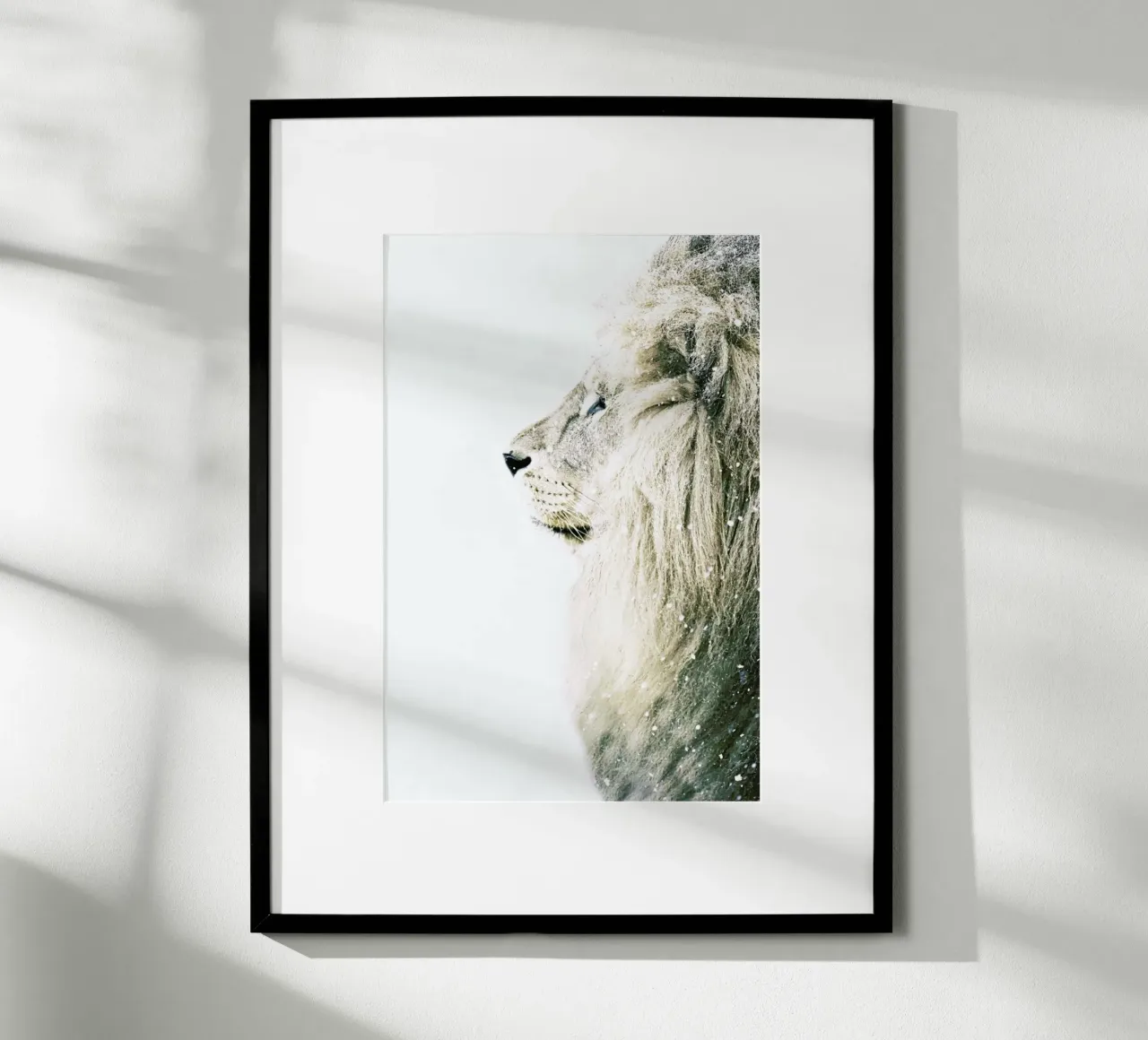 Leone nella neve carta hahnemühle da Monika Strigel