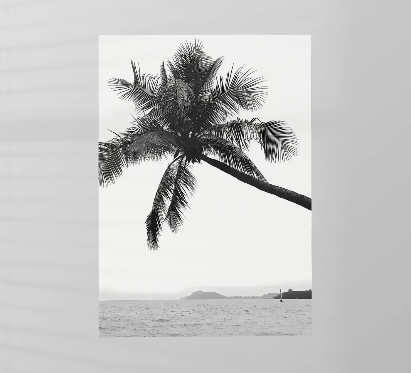 Palm tree pellicola backlit da Matthew Katz