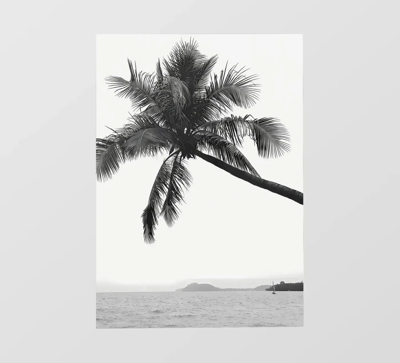 Palmboom fotobehang van Matthew Katz