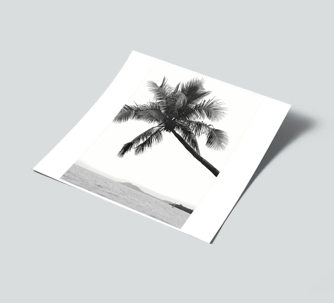 Palm tree sticker sheet by Matthew Katz