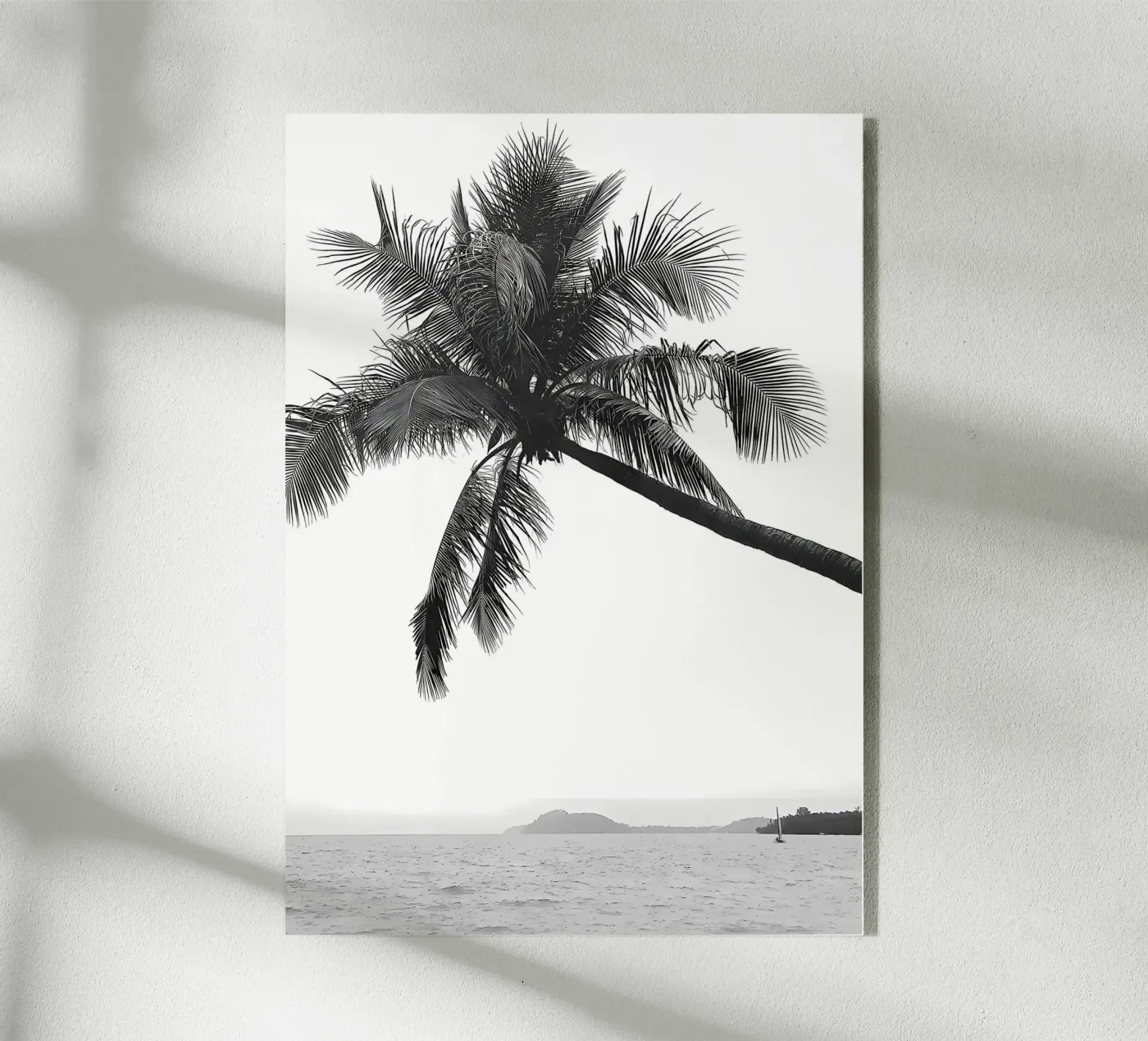 Palma plexiglass da Matthew Katz