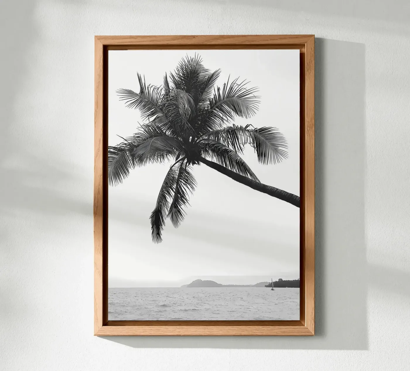 Palm tree forex plate by Matthew Katz