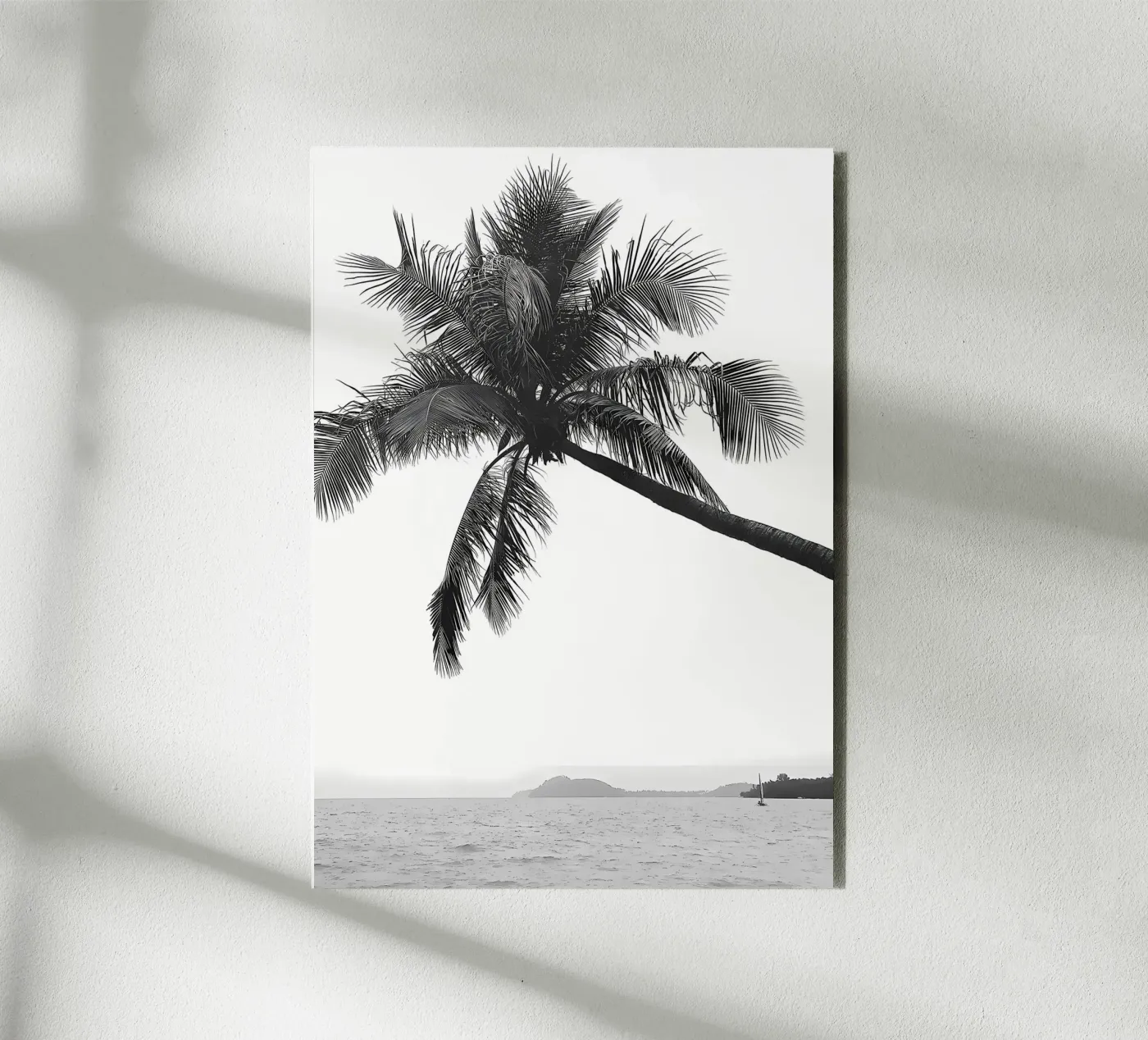 Palm tree forex plate by Matthew Katz