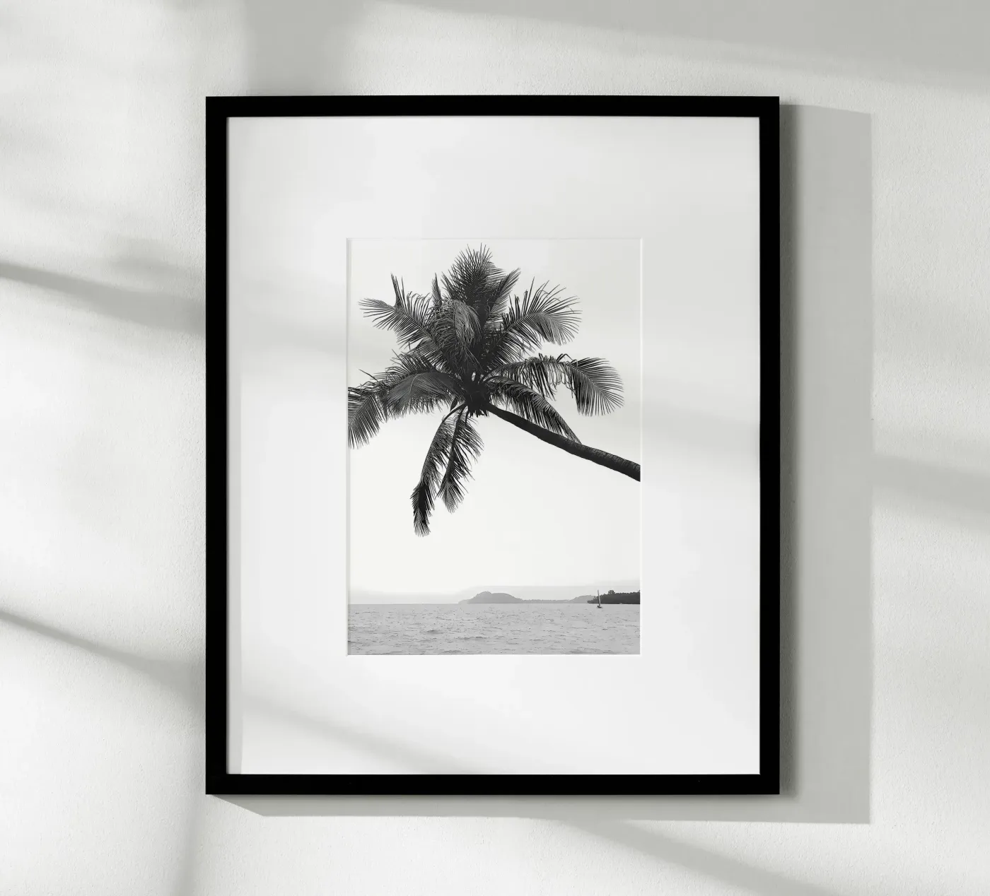 Palm tree poster da Matthew Katz